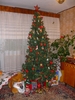 ianuarie 2011