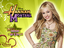 Hannah-montana-season-1-EXCLUSIVE-wallpapers-as-a-part-of-100-days-of-hannah-by-dj-hannah-montana-15