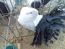 Imag053