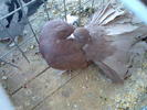 Imag056