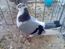 Imag078