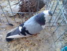 Imag079