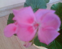 Imag013