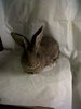 IMG00019-20110108-1540