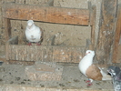 P1040730