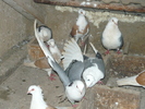 P1040741
