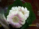 100_8303