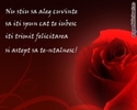 28231833_SIYEIHGQY
