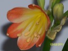 100_8310