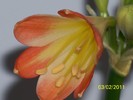 100_8312