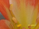 100_8318