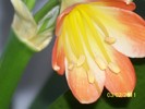 100_8326