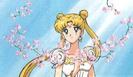 princesa serenity03