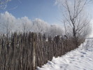 DSCF2033