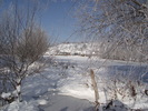 DSCF2041