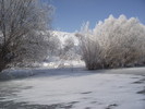 DSCF2052