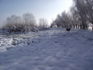 DSCF2057