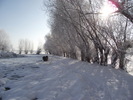 DSCF2063