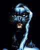 Panther 1