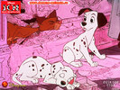 poze-poze-cu-101-dalmatieni-01-1