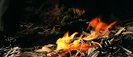 behene_de_Raavan_world4free.in-329