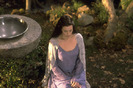 the-lord-of-the-rings-the-fellowship-of-the-ring-430125l-imagine
