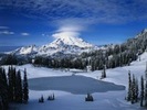 cold-winter-wallpaper