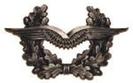 insigne-bereta-luftwaffe-1865t
