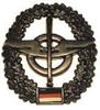 insigne-metal-bereta-nachschub-1925t