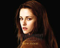 the_twilight_saga_s_new_moon24