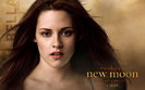 the-twilight-saga-new-moon-powerpoint-background-8