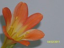 100_8334