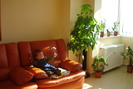 SUNT NR.1:))