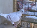 DSCN1193