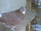 DSCN1195