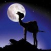 camila-la-luna-avatare.ro_thumb