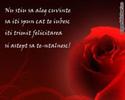 imagesCAWAW7ZO