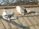 P1050056