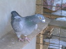 DSCN1187