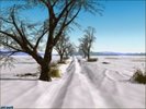 30217066_AULYMJFYL