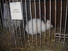 DSCN8177