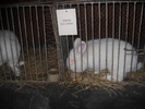 DSCN8180