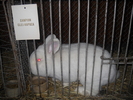 DSCN8181