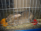 DSCN8183