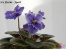 Ice Storm - Sport 2011 febr 5