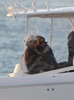 Enrique+Iglesias+Enrique+Iglesias+Anna+Kournikova+3xwJrkaWPrQl