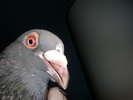 SANY0554