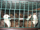 Picture 022