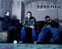 poze-Parazitii-3