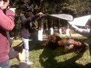 ogaaajknjlduto7xjdrr8rc